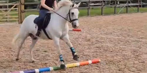 Flatwork\/Gridwork clinic