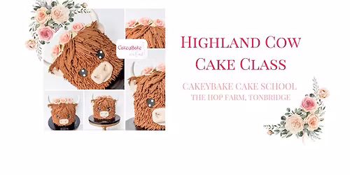Highland Cow Cake Class