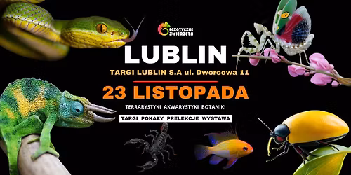 LUBLIN 23 LISTOPADA Egzotyczne Zwierz\u0119ta TERRARYSTYKA AKWARYSTYKA BOTANIKA