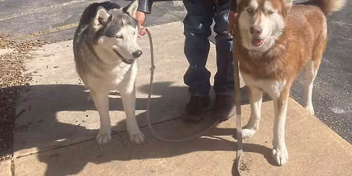 PALS April 18th Low-Cost Vaccine\/Microchip Clinic!