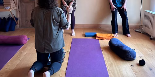90 Min TRE (Tension and Trauma Release Exercises) workshop 