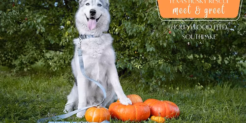 DFW November Meet & Greet - Hollywood Feed in Southlake