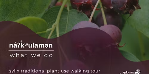 na\u2019\u0294k\u2019\u02b7ulam\u0259n (what we do): syilx Traditional Plant Use Walking Tour