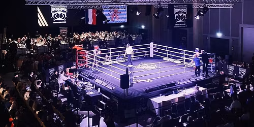 INTERNATIONAL BOXING FIGHT NIGHT DIFFERDANGE