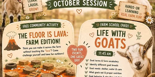 Bailey Homestead- FLOOR IS LAVA:Farm Edition & OCTOBER FARM SCHOOL "Life with Goats"
