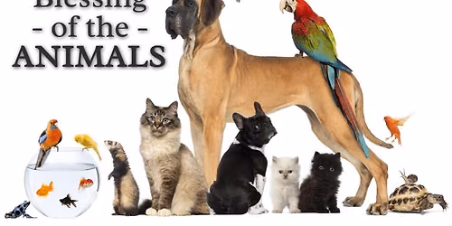 Blessing of the Animals