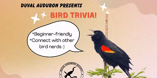 Monthly Program: Bird Trivia Night!