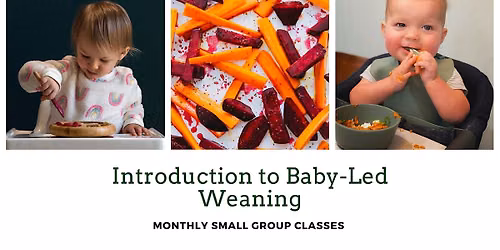 Introduction to Baby-Led Weaning