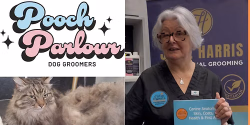 \ud83d\udc08\ud83d\udc15 \u00a3100 JULIE HARRIS; CAT GROOMING & DOUBLE COATED DOGS \ud83d\udc15\ud83d\udc08