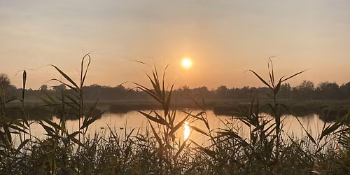 Midzomernacht in het Molsbroek
