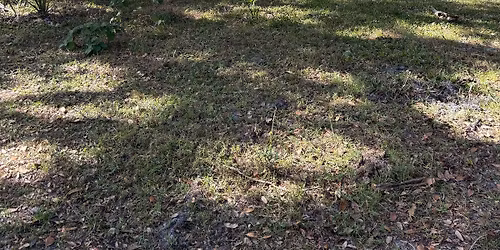 Florida Archery Unleashed Tournament