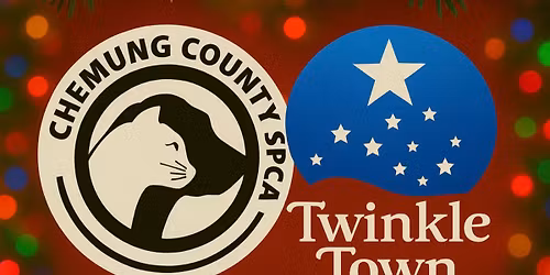 Chemung County SPCA night at Twinkle Town