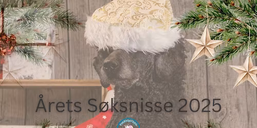 \u00c5rets s\u00f8ksnisse 2025