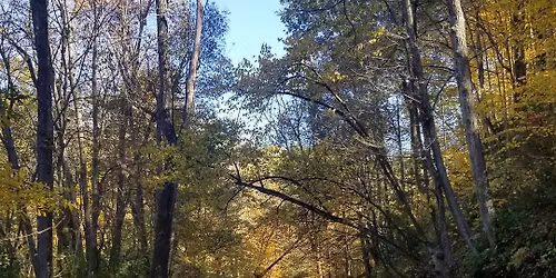 Fall Puzzle Hike at Infirmary Mound Park
