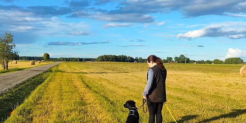 Appellsp\u00e5r - Lidk\u00f6pings Brukshundklubb