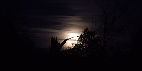 Night at the Reserve
