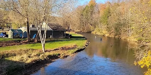 Bugs & Brews @ Big Rail Brewing