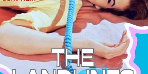 Valentine with The Landlines at Duende!