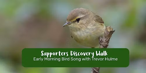 Guided Walk - Early Morning Bird Walk with Trevor Hulme (Free Event) Members and Volunteers only