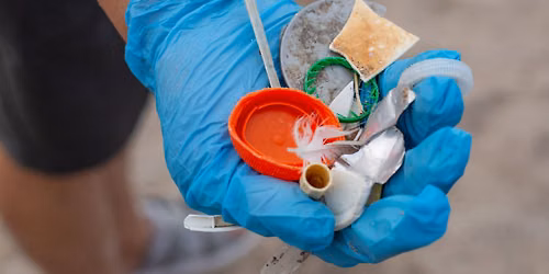 Drink Local Drink Tap August Beach Cleanup