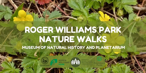 Nature Walk in Roger Williams Park