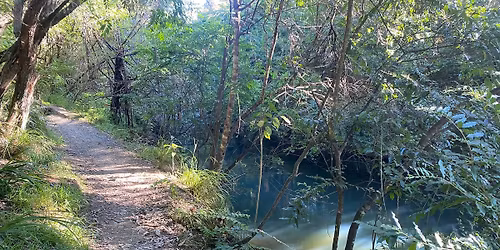 The Henderson Shuffle