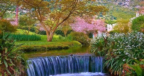 Oasi di Ninfa, un'esplosione di colore!