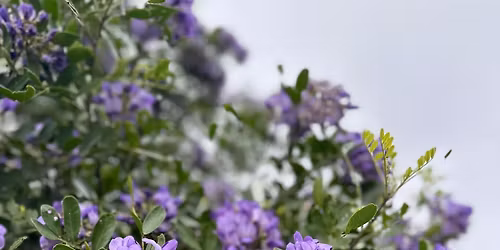 Monday Night Open Mic @ Middleton Brewing