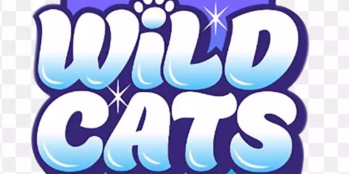 FA Wildcats - Girls Football (5 to 11 year old)