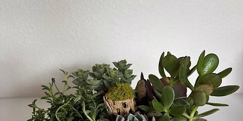 "Plant & Sip" By Heddy Salerno