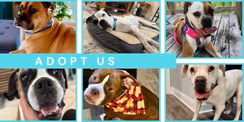 Durham Parks & Rec's Santa Paw Event