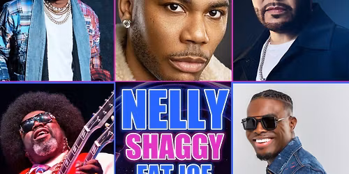 Nelly  Shaggy  Fat Joe  Afroman & OMI