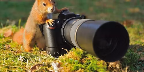 Basic Nature Photography