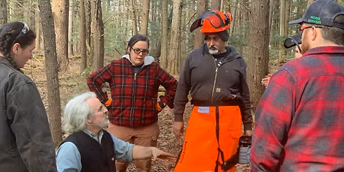 Intro to Chain Saws & Tree Felling