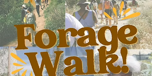 Earth Month Forage Walk