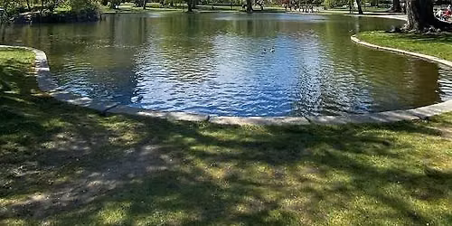 Summer Picnic Gathering 