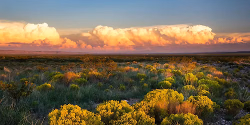 Desert Bloom Retreat October 2026