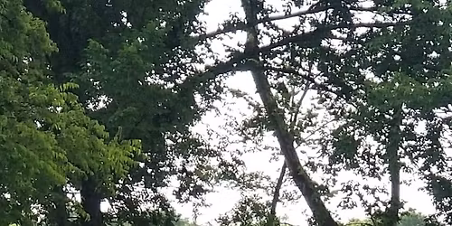 Selah Church Worship Service