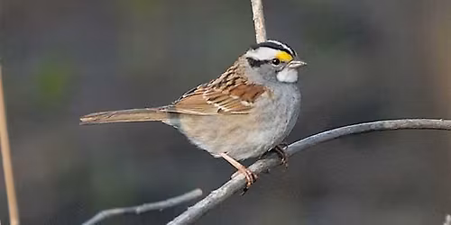 NJ Audubon: Happy New Year Hike at Hawk Rise