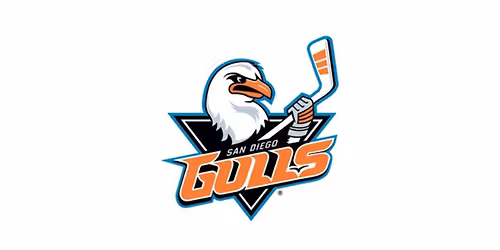 San Diego Gulls vs San Jose Barracuda