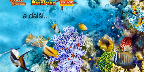 POD HLADINOU ( ma\u0161karn\u00ed odpoledne)