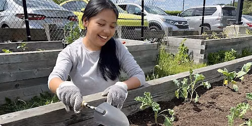 Gardening Basics Workshop