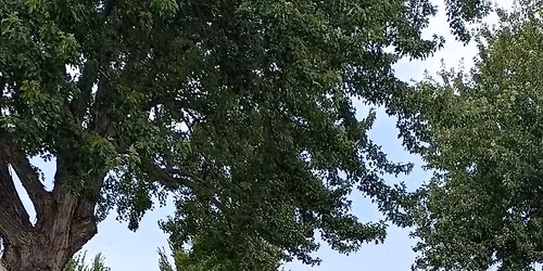 Whittier Residents Association Monthly Gathering