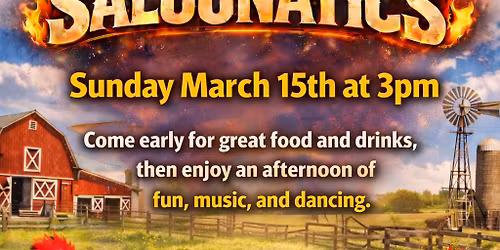 The Roost bar & Grill presents SUNDAY FUNDAY with The Saloonatics