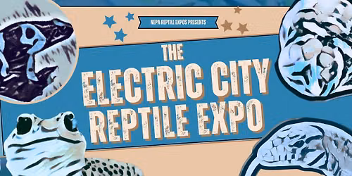 The Eleventh Electric City Reptile Expo