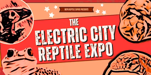 The Eleventh Electric City Reptile Expo