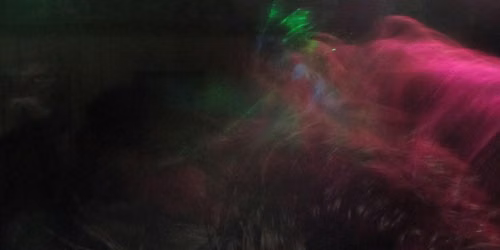 DIE FLEDERMAUS VAMPIRE RAVE
