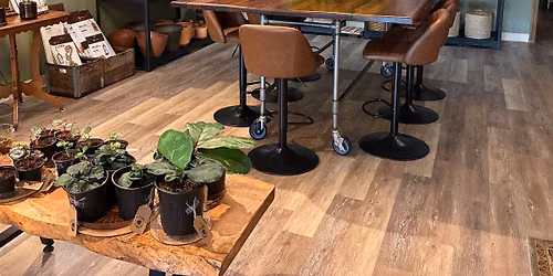 Houseplant Care Basics Workshop