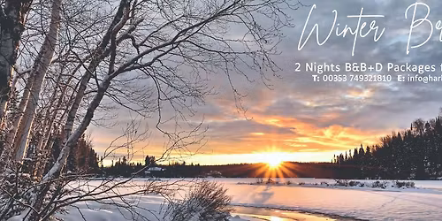 Live Music | Trad Lads