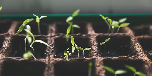 May Group Acupuncture: Nourishing Growth